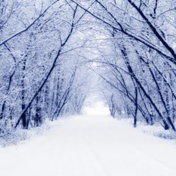 Meet your Posher, Alex - Picture 1 of 1